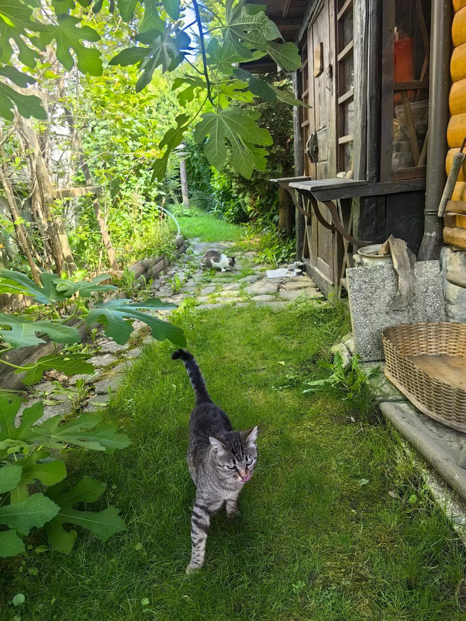 Hisa Hortenzija Luce Bagian luar foto