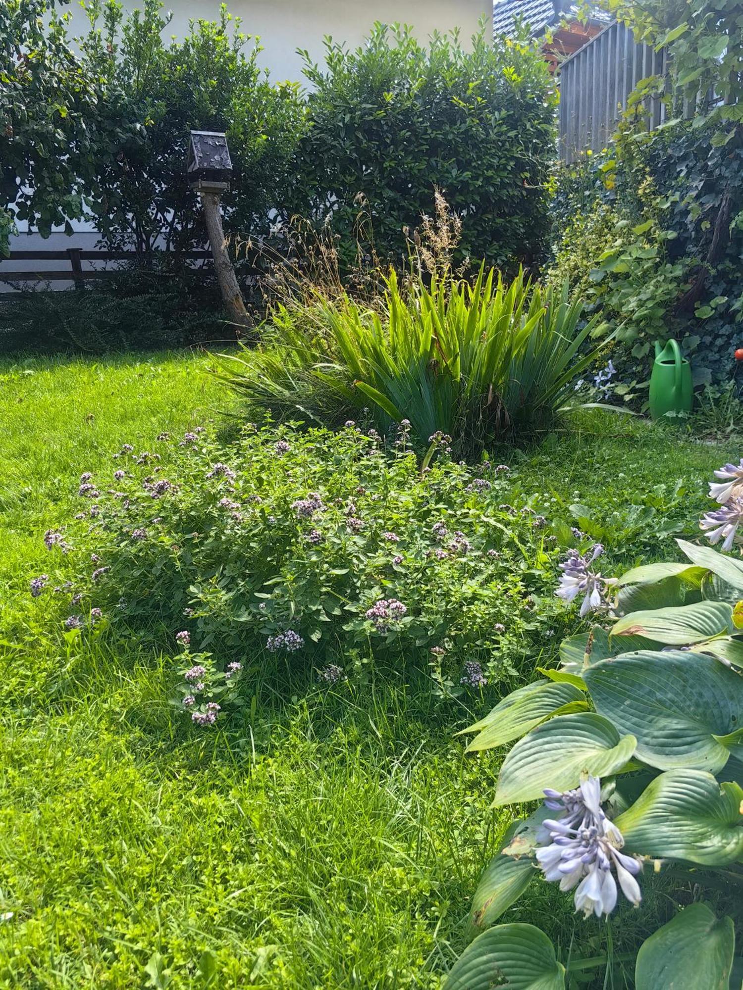 Hisa Hortenzija Luce Bagian luar foto