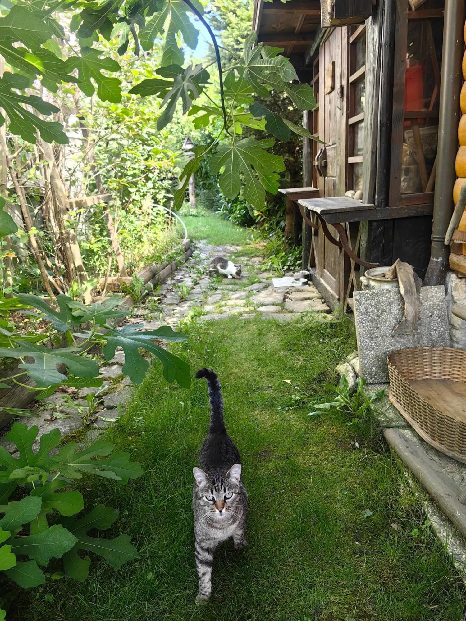 Hisa Hortenzija Luce Bagian luar foto
