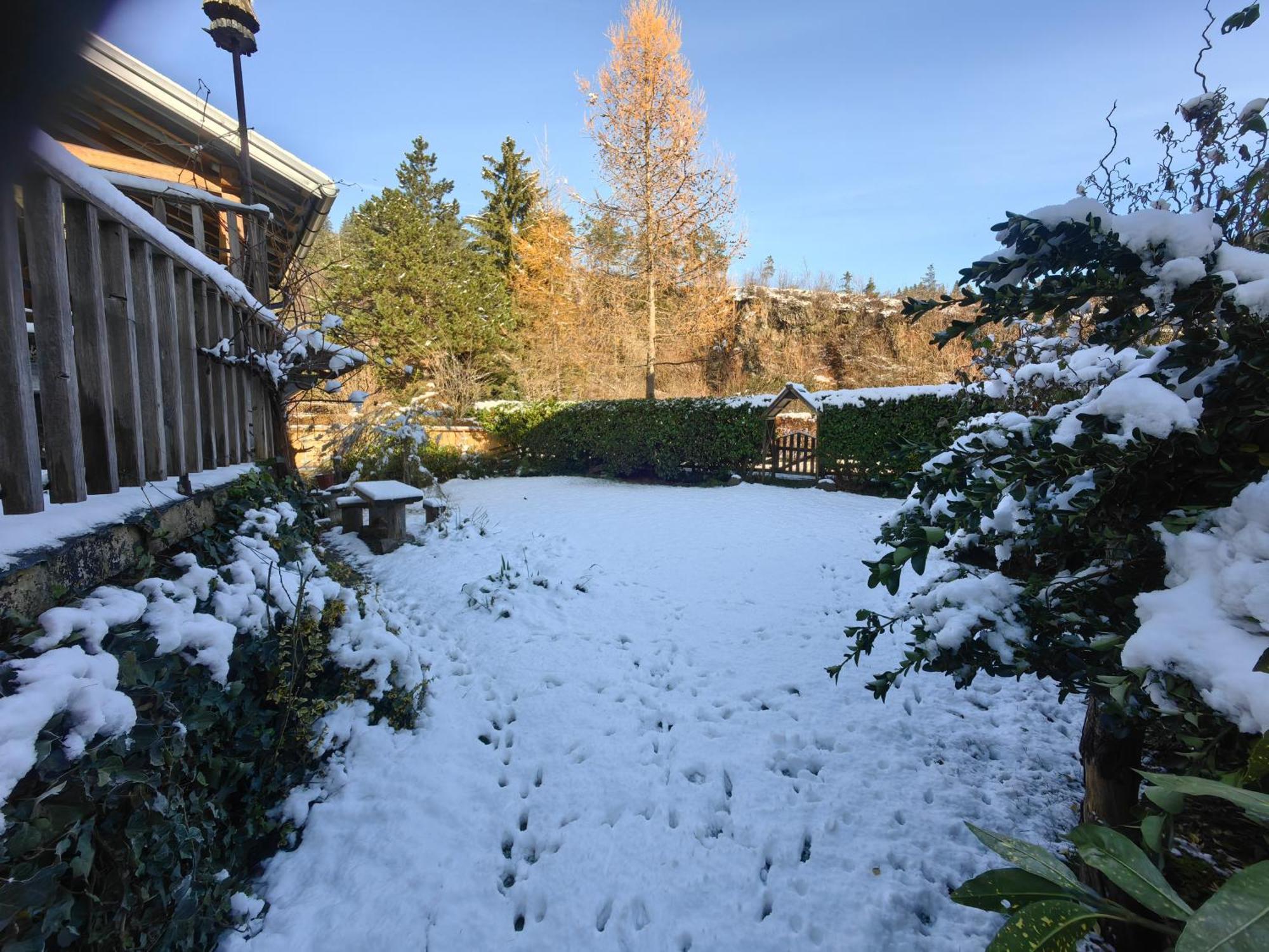 Hisa Hortenzija Luce Bagian luar foto